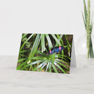 Botervlieg op Leaf Kaart