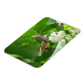 Botervlieg op Lila lente magneet (Linkerzijde)