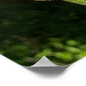 Botervlieg op Vloer met vers over hoop en geloof Poster (Hoek)