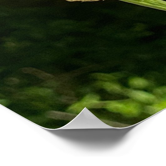 Botervlieg op Vloer met vers over hoop en geloof Poster (Hoek)