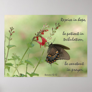 Botervlieg op wilde bloemen, Verse Romans 12:12 Poster