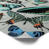  botervliegen afdrukken poster (Hoek)