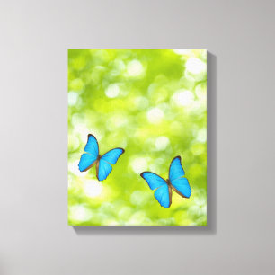 Botervliegen Canvas Afdruk