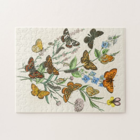 Botervliegen en bloemen Illustratie 1 Legpuzzel (Horizontaal)