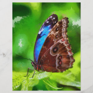 Botervliegenschilderij Flyer