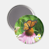 Botervliegenventilator Magnet Magneet (Voorkant / Achterkant)