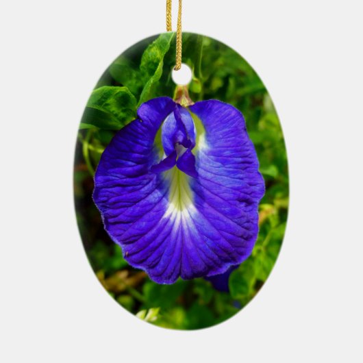 Botervliegerwt Keramisch Ornament (Achterkant)