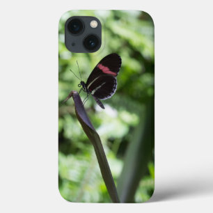 Botervliegfotografie iPhone 13 Hoesje