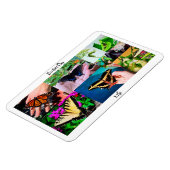 Botervliegleven Magneet (Linkerzijde)