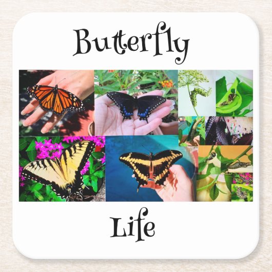 Botervliegleven Vierkante Kartonnen Onderzetter (Voorkant)