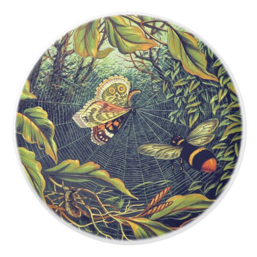 Botervliegspiderweb bijen  tuinkunst keramische knop (Voorkant)