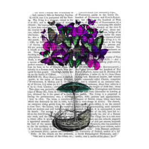 Botervliegvliegtuig 2 Paars en groen Magneet