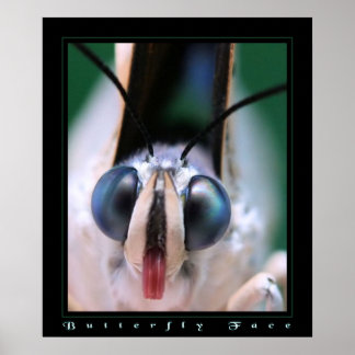 Botervliegzijde Poster