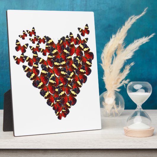 Botervlieshart Fotoplaat (Zijkant)