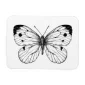 Botervlinder Magneet (Horizontaal)