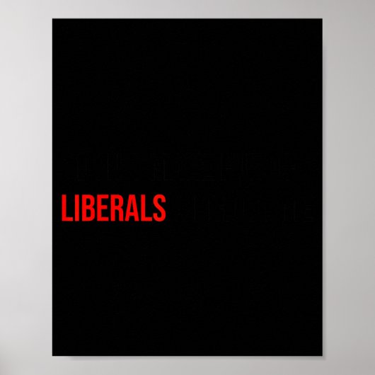 (both Side) Don't Make Fun Of Liberals Without Me Poster (Voorkant)