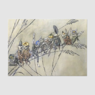 “Bother the Gnat” door A Duncan Carse Tissuepapier
