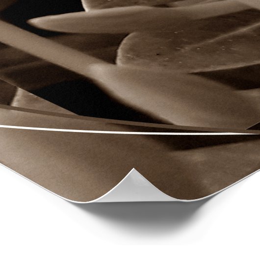 Botões Poster (Hoek)