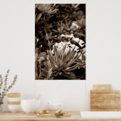 Botões Poster (Keuken)