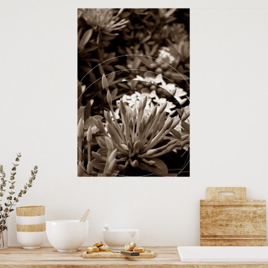 Botões Poster (Keuken)