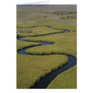 Botswana, Afrique. Vue aérienne de la rivière Okav