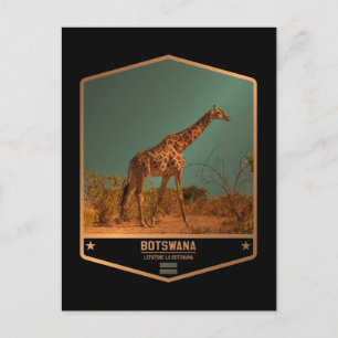 Botswana Briefkaart