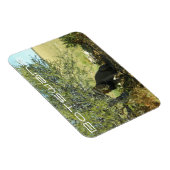 Botswana Central Kalahari Lion Savannah Travel Magneet (Rechterzijde)