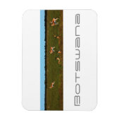 Botswana Central Kalahari Savannah Springboks Magneet (Verticaal)