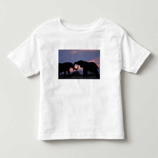 Botswana, Chobe National Park, Elephants Kinder Shirts (Voorkant)