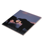 Botswana, Chobe National Park, Elephants Tegeltje (Zijkant)