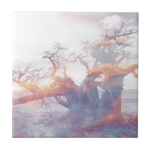 Botswana Kubu - Baobab - boom Tegeltje (Voorkant)