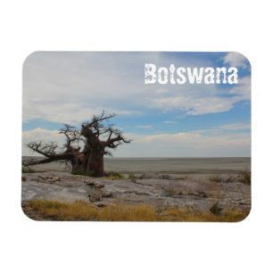 Botswana Kubu Baobab Eiland Go Travel Magneet