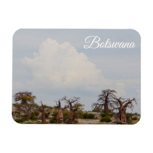 Botswana Kubu Baobab Eiland Go Travel Magneet