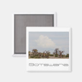 Botswana Kubu Baobab Island Magneet (Voorkant / Achterkant)