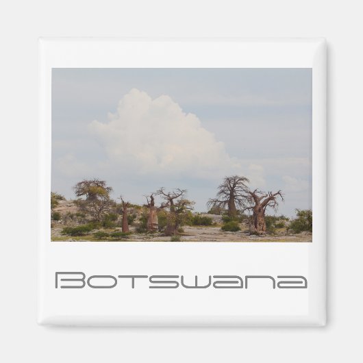 Botswana Kubu Baobab Island Magneet (Voorkant)