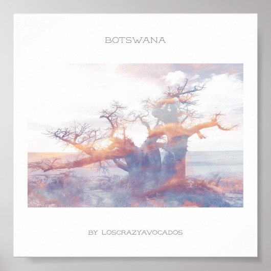 Botswana Kubu Island Baobab Affiche de voyage (Devant)