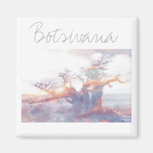 Botswana Kubu Island Baobab Tree Magnet Magneet