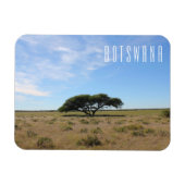 Botswana Landscape Savannah Savanna Tree Grass Magneet (Horizontaal)