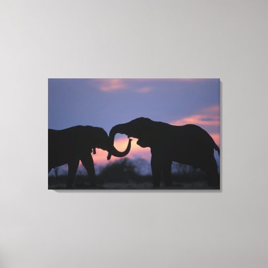 Botswana, Nationaal park Chobe, Olifanten Canvas Afdruk (Voorkant)