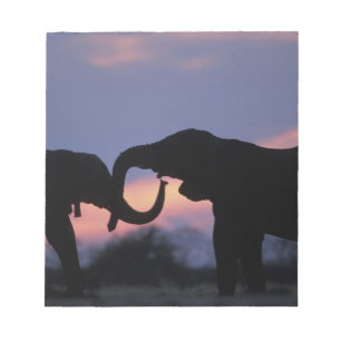 Botswana, Nationaal park Chobe, Olifanten Notitieblok