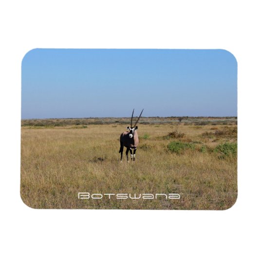 Botswana Oryx Animal Savannah Travel Magneet (Horizontaal)