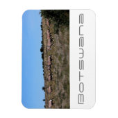 Botswana Oryx Animals Savannah Travel Magneet (Verticaal)