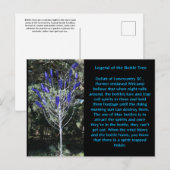 Bottelboom South Carolina Briefkaart (Voorkant / Achterkant)