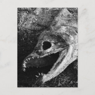 Botten met viskop roteren briefkaart