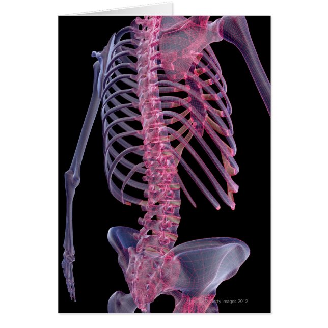 Botten van de boomstam (Voorkant)