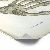 Botten van de handanatomie afdrukken poster (Hoek)