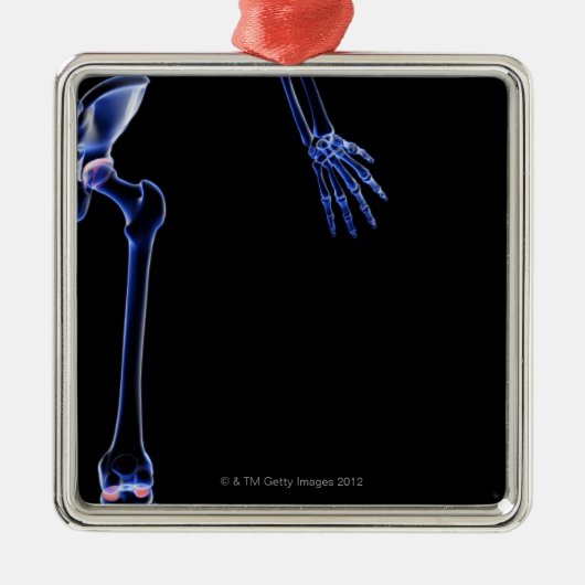 Botten van de Hip Metalen Ornament (Voorkant)