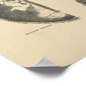  Botten van de Huid 1880 Afdrukken Poster (Hoek)