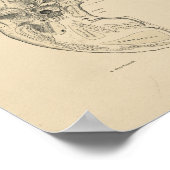  Botten van de Huid 1880 Afdrukken Poster (Hoek)