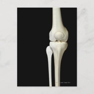 Botten van de knie 4 briefkaart